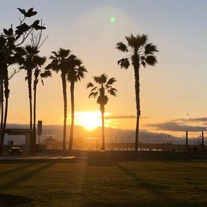 Meet your Posher, Bianca